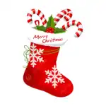 Christmas Socks